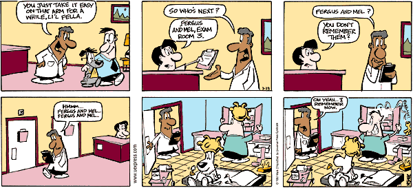 citizendog